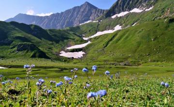 Ratti Galli Landscape Nature Mountains Spring Green Grass Flowers