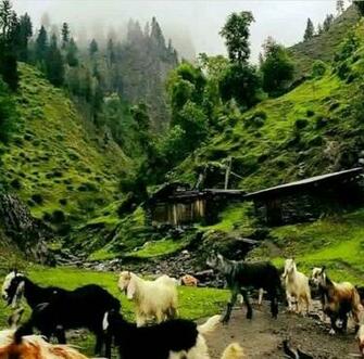 Kunar A Province Of Afg Famous For Many Narrow Valleys Forever