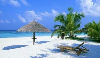 Chair In Virginia Beach HD Wallpaper IwallHD