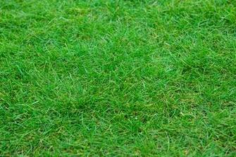 Grass Low Maintenance Mat When
