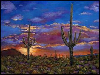 Southern Arizona Evening Saguaro Landscape From The Sonoran Desert Of