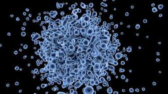 Hepatitis B Pre Genome Rna May Promote Nucleocapsid Assembly