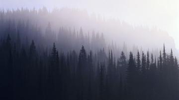 Hipster Wallpaper Top Background