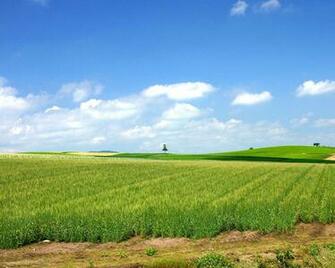 My Wallpaper Place Farm