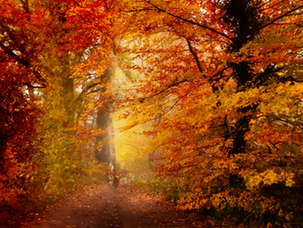 Autumn Desktop Wallpaper Picture Gallery