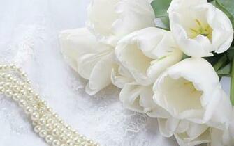 Pure White Wallpaper Walltor