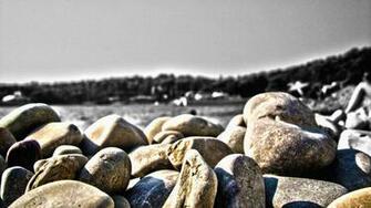 Newest Submissions Wallpapermania Eu