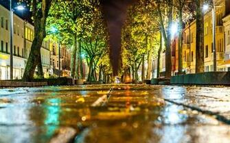 Rainy Autumn Night Rain Tree Light