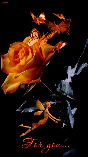 Related Wallpaper Size Type Gif S