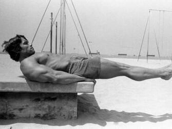 Arnold Schwarzenegger Conquer Wallpaper HD Elrinconcitodemaya