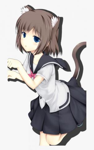 Neko Girl Wallpaper Pack Anime Cat Png Transparent