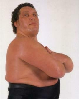 Andre The Giant Archives Of Wwe Superstars