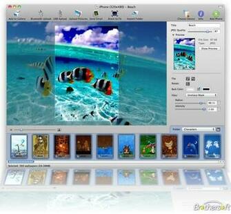 Cell Phone Wallpaper Maker Online