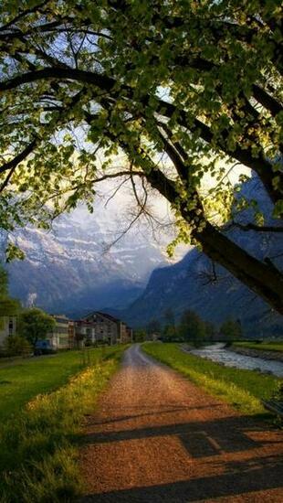 Trees Path Houses Scenic Swiss iPhone Wallpaper