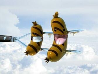 Funny HD Wallpaper