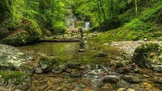 Green Water Nature Trees Outdoors Rivers Forest Wallpaper