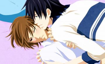 Junjou Romantica HD Wallpaper Background Image