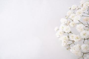 Best Babys Breath Pictures Image