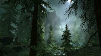 Fog In The Forest Wallpaper