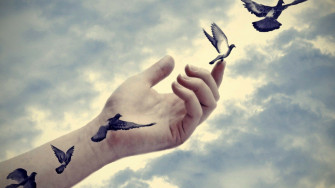 Flying Bird Wallpaper