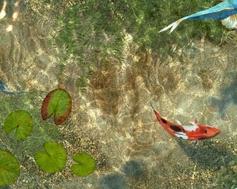 Koi Fish 3d Screensaver