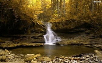 Forest Waterfall Wallpaper