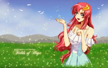 Mobile Suit Gundam Seed Destiny HD Wallpaper Background Image