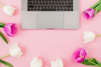 Beautiful Flower Wallpaper