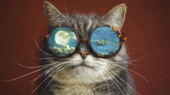 Artistic Cat 4k HD Wallpaper Image Photos