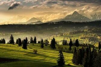 Nature Landscape Tatra Mountains Forest Grass Mist Slovensko