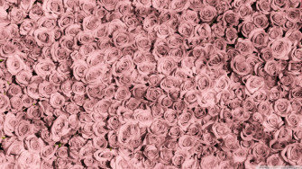 Rose Gold Aesthetic Wallpaper