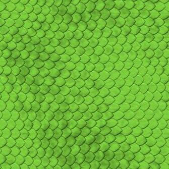 Related Pictures Snake With White Background HD Wallpaper X