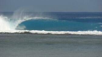 Surf Wallpaper Surfing Pics