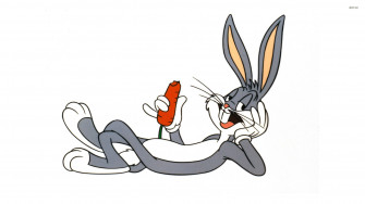 Lola Bunny Wallpaper