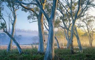 Wallpaper Landscape