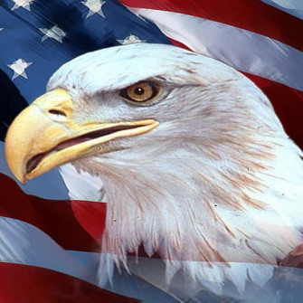 Trump We Want More
