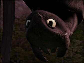 Toothless The Dragon Wallpaper