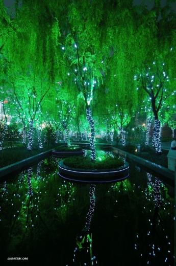 In Shanghai Beautiful