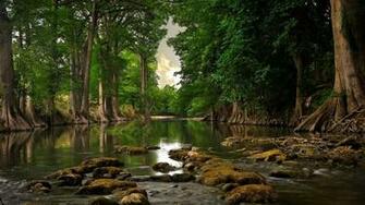 Very Quiet Place Water Trees Quite River Ultra