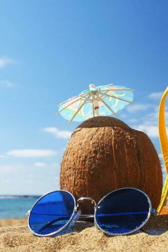 Summer Coconut iPhone Wallpaper