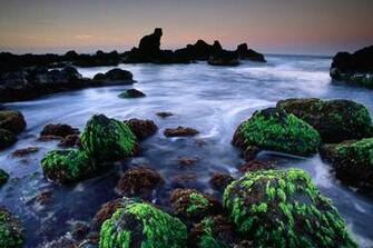 Free download Hawaii Secret Beach Hd Wallpapers Maui Hawaii Makena Cove