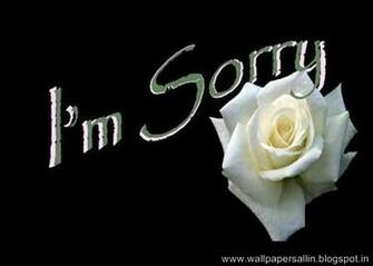 Am Sorry Wallpaper Image