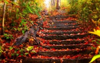 Fall Wallpaper HD Net