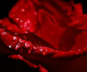 iPhone Wallpaper Black And Red Cool HD HDblackwallpaper