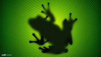 Amphibians Wallpaper X Net