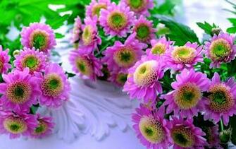 Two Small Cute Flowers Wallpaper