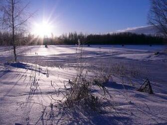 Winter Scene Wallpaper Image And Nature