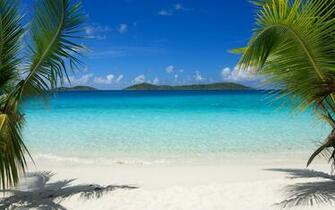 HD Tropical Island Beach Palm Trees Sea Waves Wallpaper