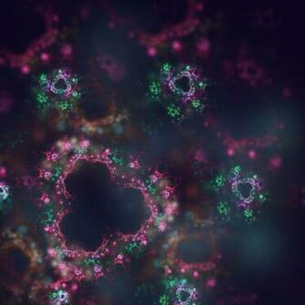 Best Dxm Wallpaper