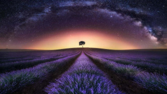 Breathtaking S Of Beautiful Lavender Fields In Full Bloom Wallpaper